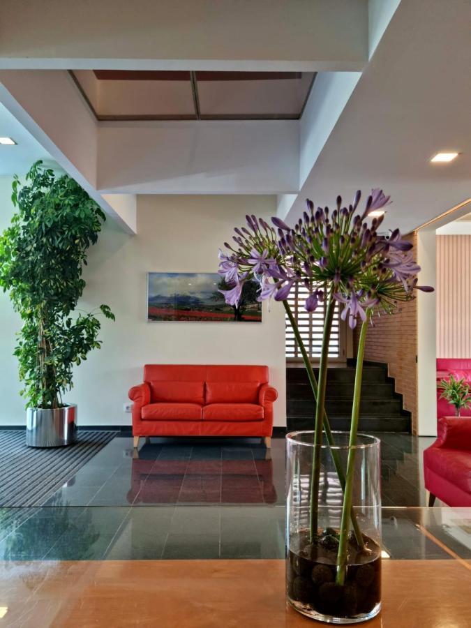 ז'ירונה Apartaments Els Quimics מראה חיצוני תמונה